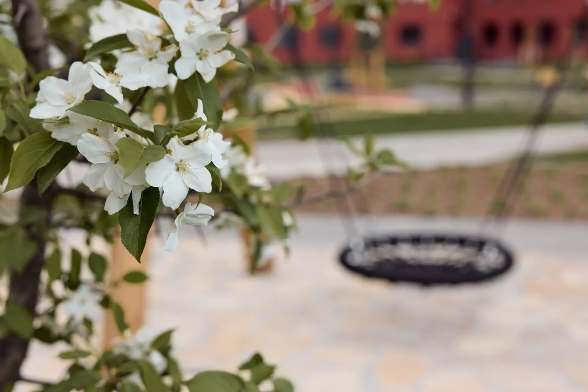 Во 2, 3 и 4 секциях четвёртого дома и пятом доме:
– идёт передача квартир.
Фотография загружена 15 января 2025 года.