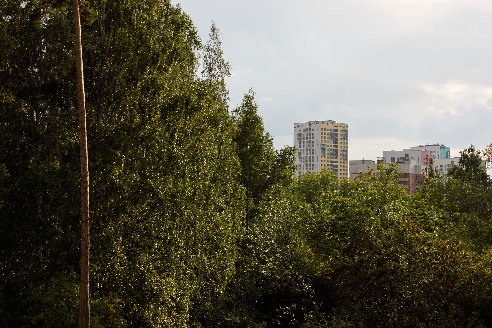 10 минут пешком
до Основинского парка