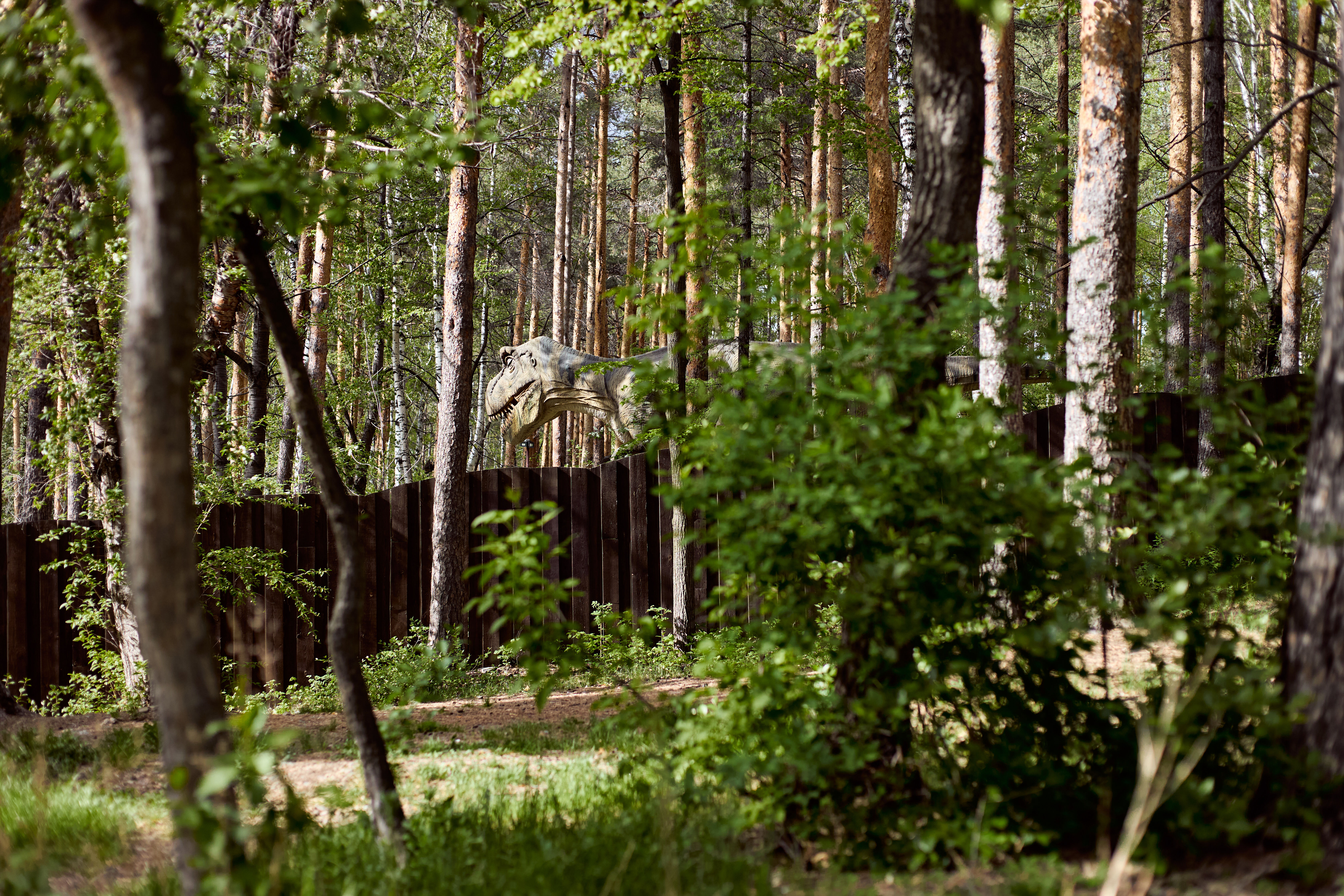 12 минут пешком
до парка Маяковского